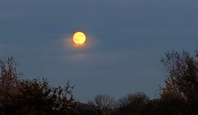 Photo 1 de l’itinéraire Bikemap « Pont Pflimlin »