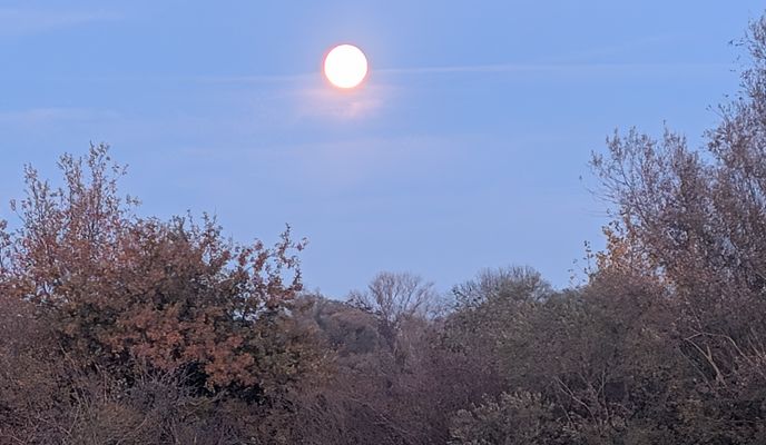 Photo 2 de l’itinéraire Bikemap « Pont Pflimlin »