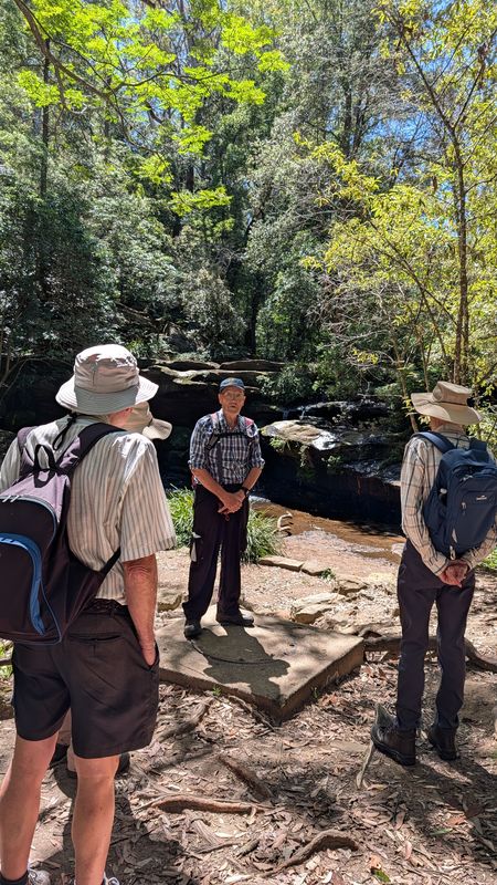 Lindisfarne Crescent to Gibbons Street