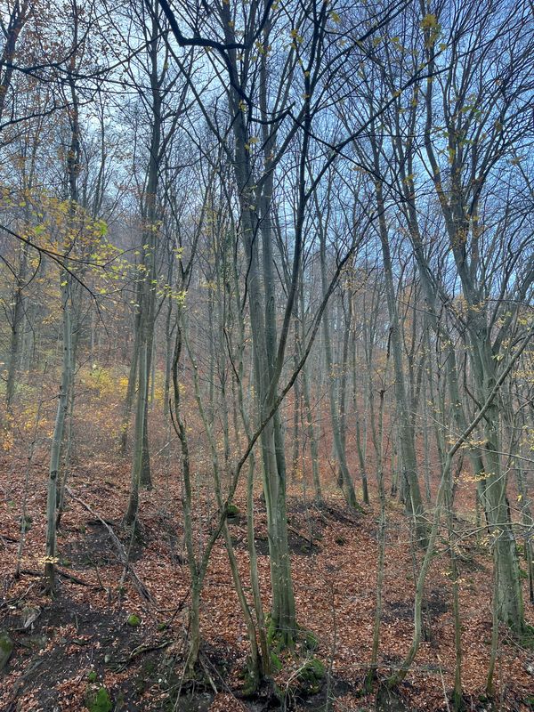 47.785, 18.972 до 47.758, 18.983