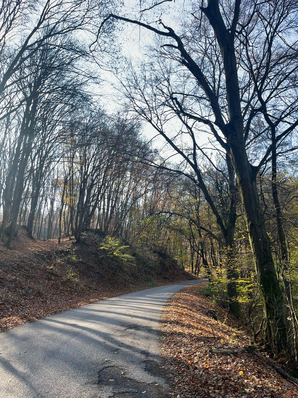 47.785, 18.972 до 47.758, 18.983