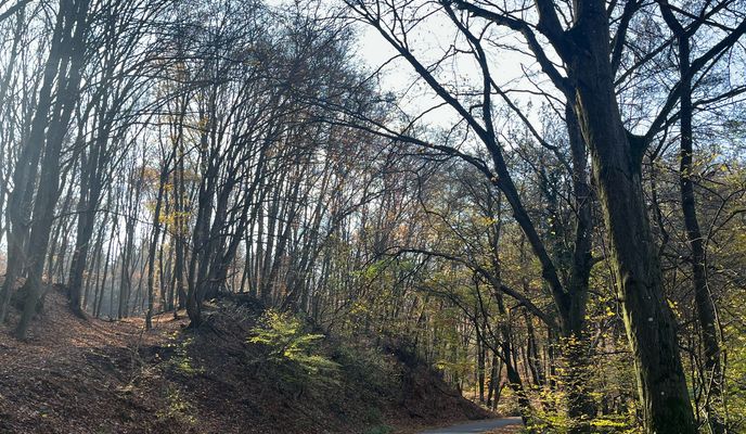 Photo 2 of the Bikemap route "47.785, 18.972 до 47.758, 18.983"