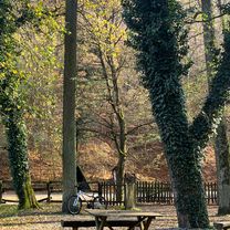 Photo 7 of the Bikemap route "47.785, 18.972 до 47.758, 18.983"