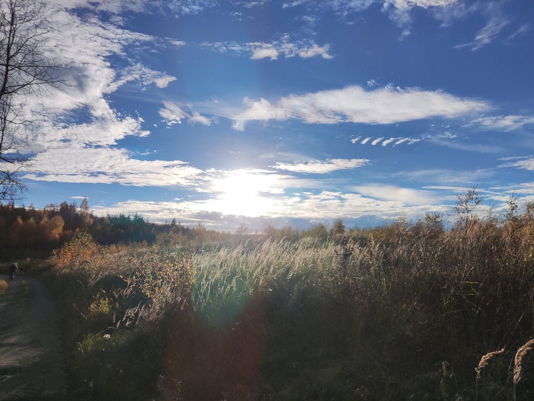 MTB - Tour Oeventrop, Uentrop, Gut Wintrop, Schreppenberg,Breitenbruch,Plackweg, Uentroper Höhe,Glösinger Handweiser, Oeventrop.