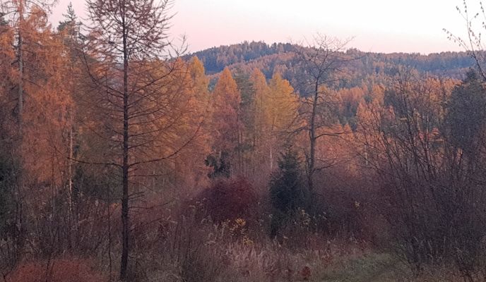 Foto 1 der Bikemap-Route "Cez Ruskinovce."