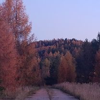 Foto 7 der Bikemap-Route "Cez Ruskinovce."