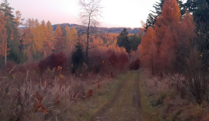 Foto 2 der Bikemap-Route "Cez Ruskinovce."