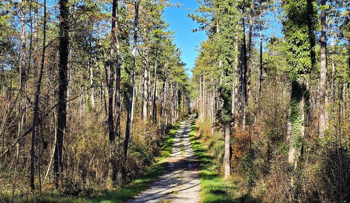Photo 1 of the Bikemap route "Fading colours"