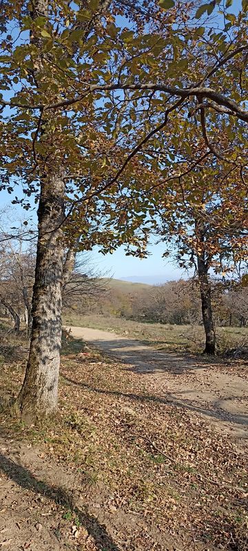 Легкая езда