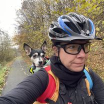 Foto 7 de la ruta de Bikemap "Ipartelep utca, Pálháza to Szemlőhegyi út, Bózsva"