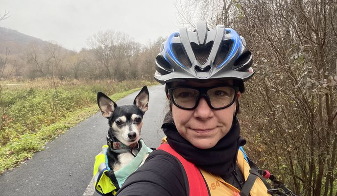 Foto 2 de la ruta de Bikemap "Ipartelep utca, Pálháza to Szemlőhegyi út, Bózsva"