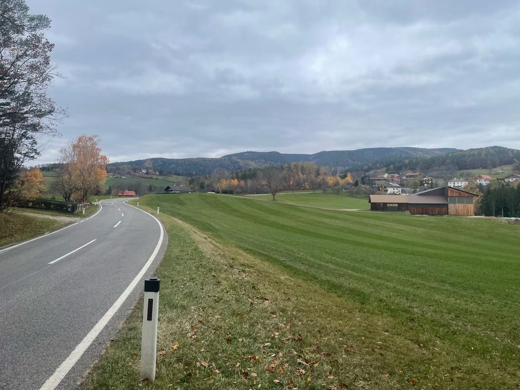 Rec The Fish Loop - Catfish Edition