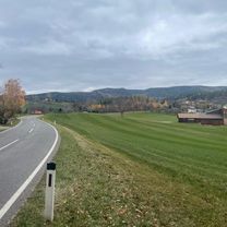 Rec The Fish Loop - Catfish Edition