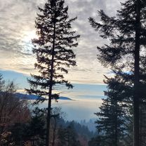 Schwarzwaldstraße nach Schwarzwaldstraße 96A