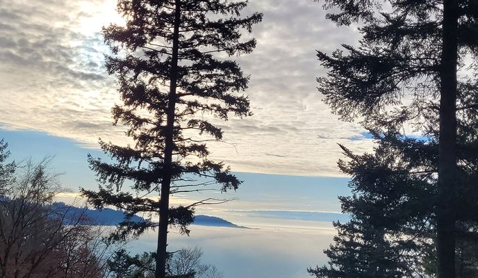 Foto 1 de la ruta de Bikemap "Schwarzwaldstraße nach Schwarzwaldstraße 96A"