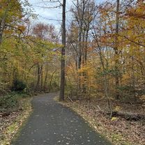 Photo 8 of the Bikemap route "Mount Vernon Trail"