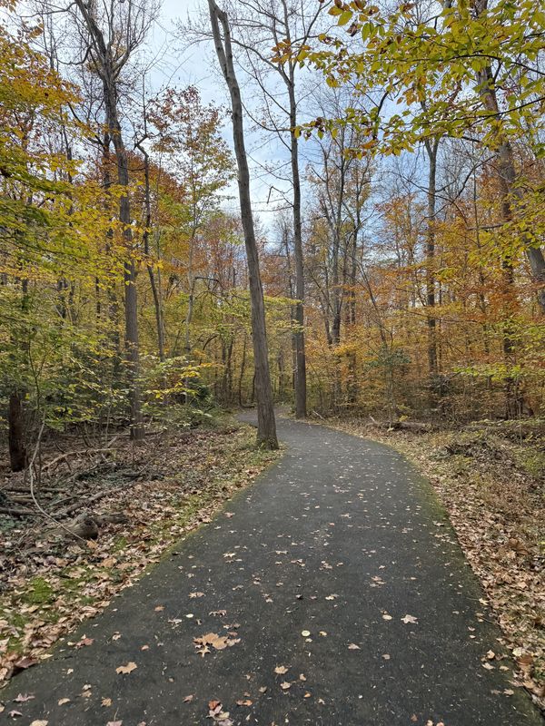 Mount Vernon Trail
