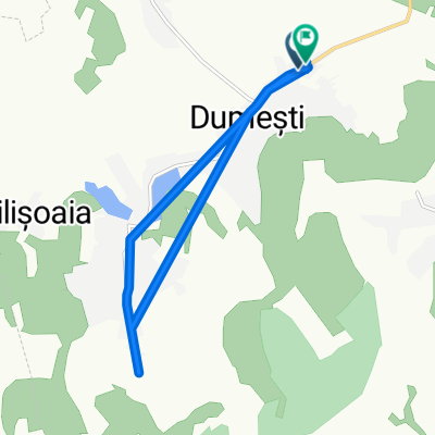 Dumesti to Dumesti