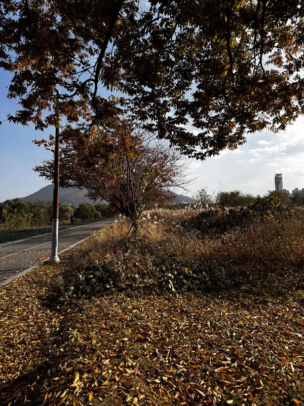 ์ ์ฒ๋, ์์ธํน๋ณ์์์ ์ ์ฒ๋, ์์ธํน๋ณ์๊น์ง