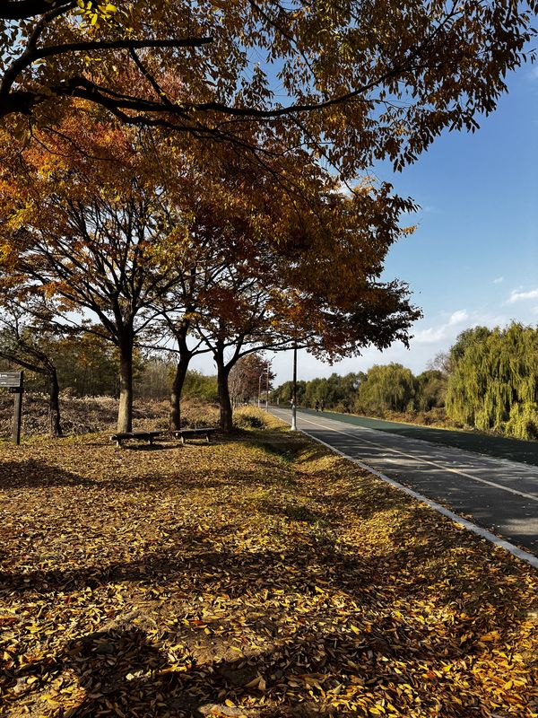 ์ ์ฒ๋, ์์ธํน๋ณ์์์ ์ ์ฒ๋, ์์ธํน๋ณ์๊น์ง