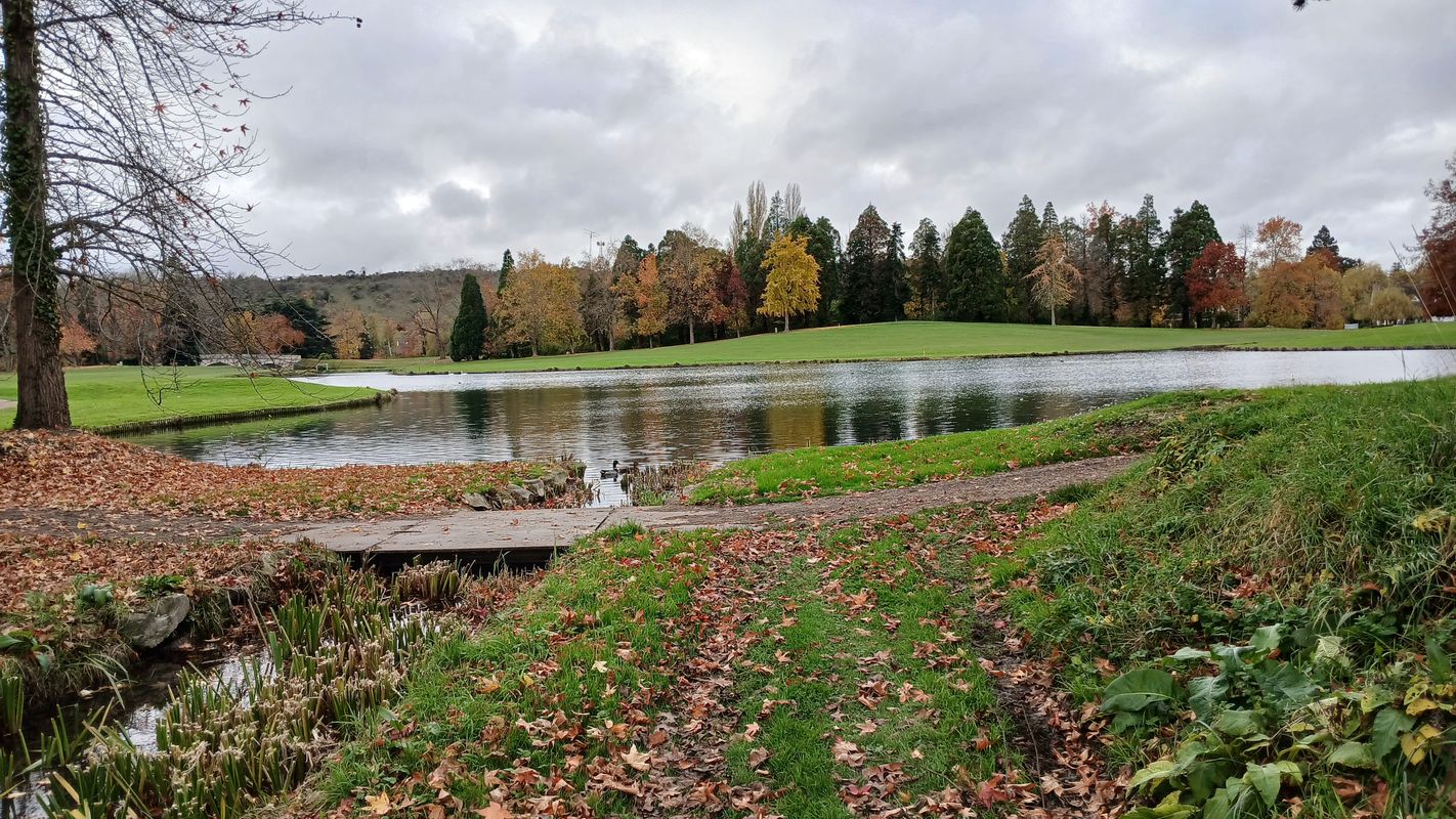 De Rue des Rougemonts à Rue des Rougemonts