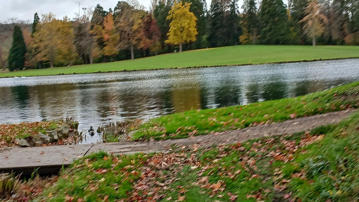 De Rue des Rougemonts à Rue des Rougemonts