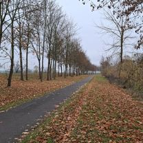 Nöda - Schalle - Nöda