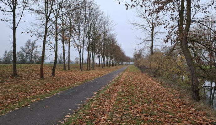 Zdjęcie 1 trasy Bikemap „Nöda - Schalle - Nöda”