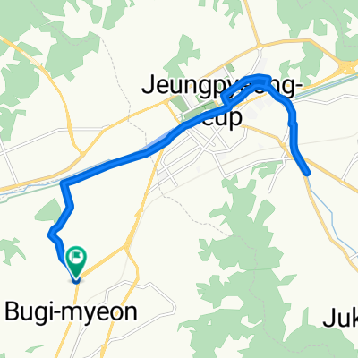 내추리, 청주시에서 내추리, 청주시까지