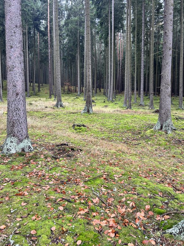 Šumavská, Карлові Вари до Šumavská, Карлові Вари