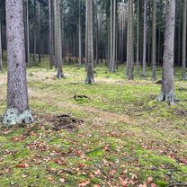 Šumavská, Карлові Вари до Šumavská, Карлові Вари