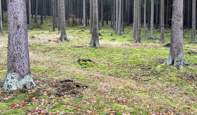 Photo 1 of the Bikemap route "Šumavská, Карлові Вари до Šumavská, Карлові Вари"