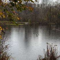 Baumeistergasse, Schwechat to Florian-Hedorfer-Straße, Vienna