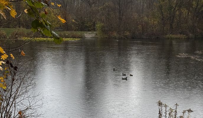 Photo 1 de l’itinéraire Bikemap « Baumeistergasse, Schwechat to Florian-Hedorfer-Straße, Vienna »