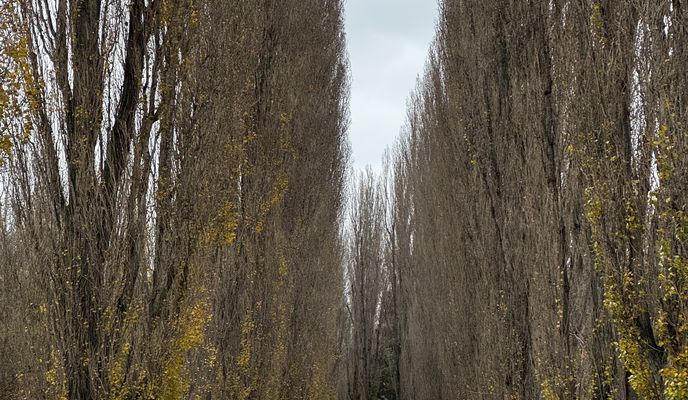 Photo 2 de l’itinéraire Bikemap « Baumeistergasse, Schwechat to Florian-Hedorfer-Straße, Vienna »