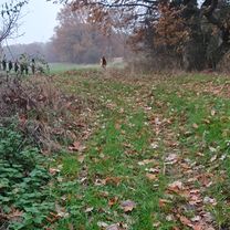 Photo 7 de l’itinéraire Bikemap « Reherweg nach Rotkäppchenweg »