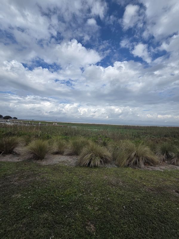 Goldeneye Lane to Canoe Creek Road