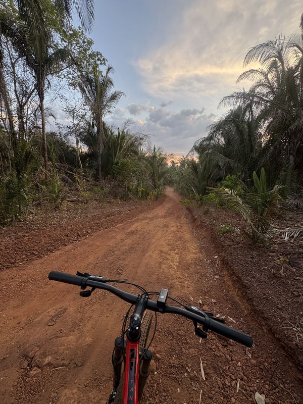 Esperantina a Esperantina