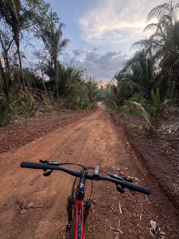 Esperantina a Esperantina