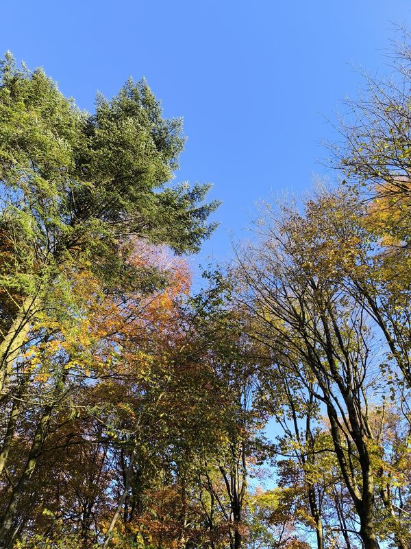 Thisted- Klitmøller- Thisted