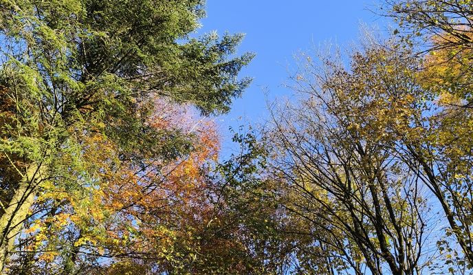 Photo 2 de l’itinéraire Bikemap « Thisted- Klitmøller- Thisted »