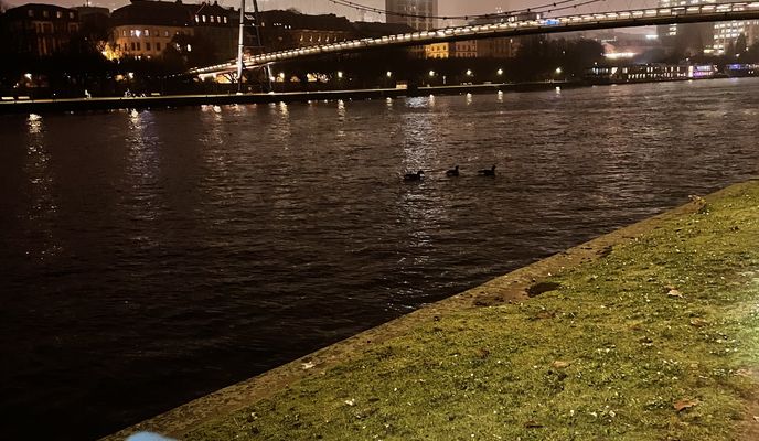 Zdjęcie 1 trasy Bikemap „Lyoner Straße, Frankfurt am Main nach Am Maingarten, Offenbach am Main”