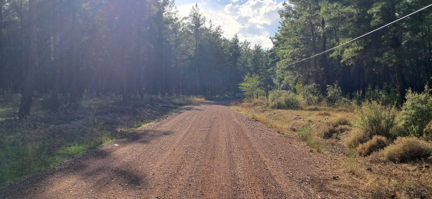 Alparslan Türkeş Cd-4