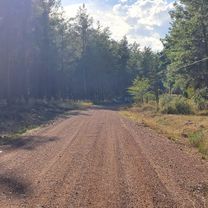 Alparslan Türkeş Cd-4