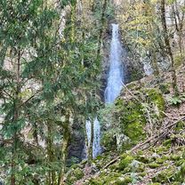 La Bici sull’Albero da Amagno