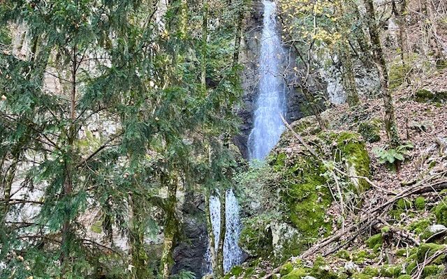 Foto 1 de la ruta de Bikemap "La Bici sull’Albero da Amagno"