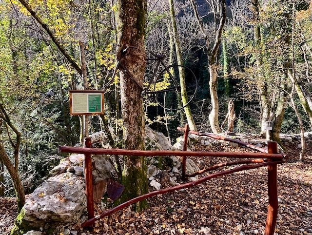 La Bici sull’Albero da Amagno
