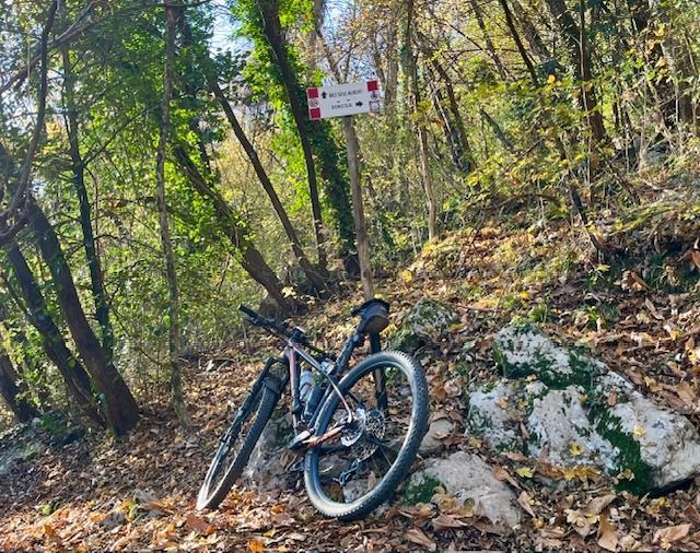 La Bici sull’Albero da Amagno