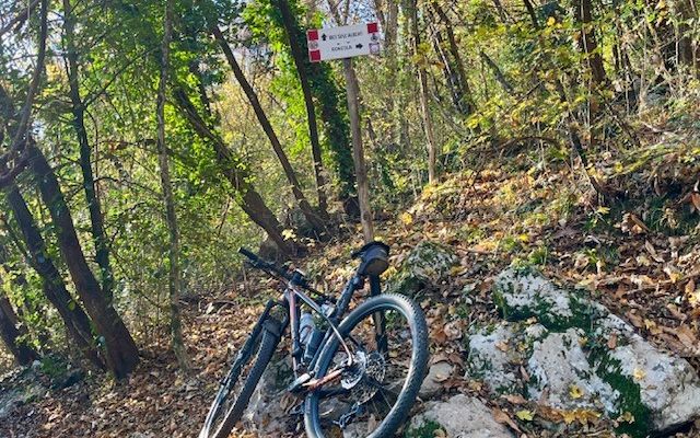 Foto 2 de la ruta de Bikemap "La Bici sull’Albero da Amagno"