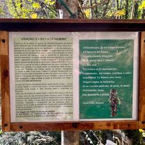 Foto 8 de la ruta de Bikemap "La Bici sull’Albero da Amagno"